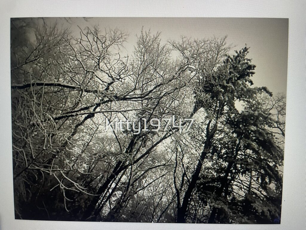 There are 28 different products available with this print! 